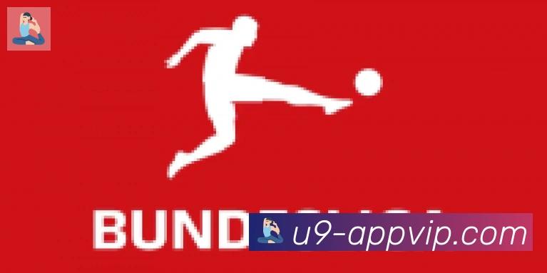 U9国际体育合作伙伴